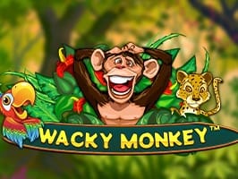 Wacky Monkey thumbnail